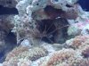 DSC03773.jpg