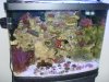 fish 067.jpg