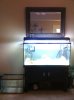 big tank and sump tank.jpg