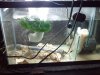2011-10-31 21.48.35.jpg