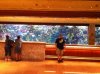 ImageUploadedByTapatalk1320189614.001458.jpg