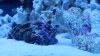 DSCN1490.jpg