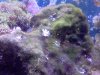2011-11-07 15.03.34.jpg