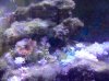 2011-11-07 15.04.00.jpg