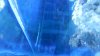 DSCN1506.jpg