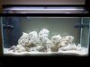 2011-11-09_21-59-22_720.jpg