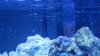 DSCN1529.jpg