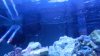 DSCN1530.jpg