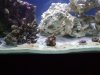 DSCF3567.jpg
