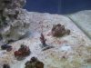 DSCF3568.jpg