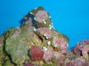 DSC00122.JPG