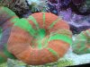 fish 073.jpg