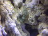 IMG-20111117-00343.jpg