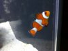 IMG-20111116-00339 3reef.jpg