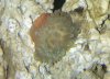 Nem on the move 111118 353 3reef.jpg