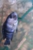 IMAG0146.jpg