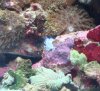 DSC03940.jpg