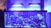 rsz_dscf0243-3.jpg