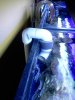 return55g.jpg