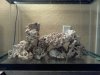 20g-1.jpg