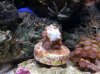 20111201_133047.jpg
