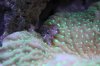 aquarium016-1.jpg