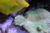 aquarium019-1.jpg