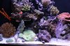 aquarium022.jpg
