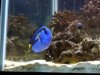 Dori.jpg