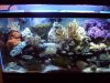 DSC02108.JPG