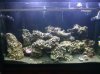 G2 Oct 16 2011 115.jpg