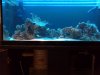 IMG_20110924_163004.jpg