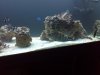 IMG_20111021_121922.jpg