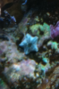 photo-3.PNG