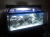 2011-12-21 15.18.42.jpg