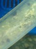 2011-12-26_18-44-01_837.jpg