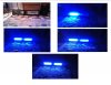 leds.jpg
