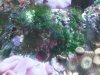 IMG01628-20111230-2128.jpg