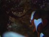 DSC01384.JPG