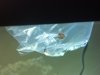 2012-01-02_19-27-02_838.jpg