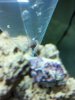 2012-01-03_16-00-02_160.jpg