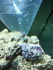 2012-01-03_16-00-08_581.jpg