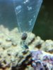 2012-01-03_16-00-29_131.jpg