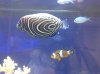 IMG-20120103-00183.jpg