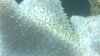 closeup leather.jpg