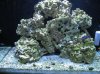 FTS.jpg