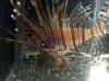 IMG_20120106_000656.jpg