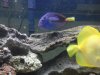 2011-06-24 23.18.51.jpg
