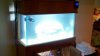 2011-01-30_16-48-08_985.jpg