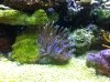 IMG_1440.jpg